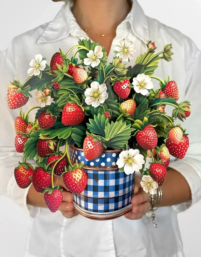 FreshCut Paper Pop-Up Greeting