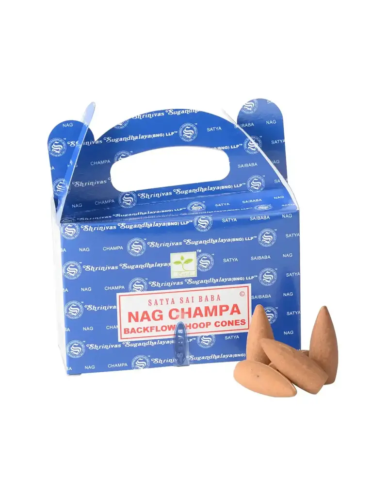 Benjamin International Backflow Incense Cones