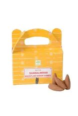 Benjamin International Backflow Incense Cones