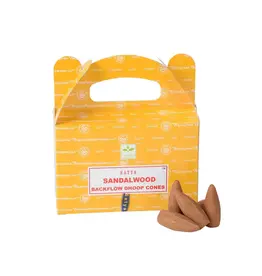 Benjamin International Backflow Incense Cones