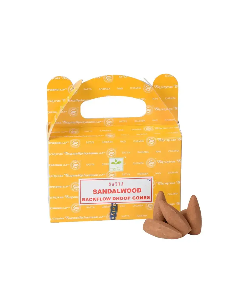 Benjamin International Backflow Incense Cones