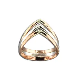 Mark Steel Triple Half Round V Ring