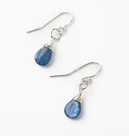 Anne Vaughan Seaside Silver Kyanite Simple Earrings