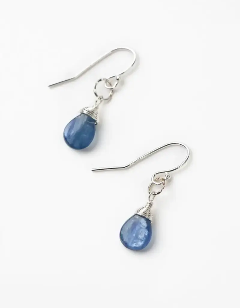 Anne Vaughan Seaside Silver Kyanite Simple Earrings