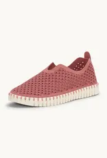 Ilse Jacobsen Full Scallop Tulip Flats