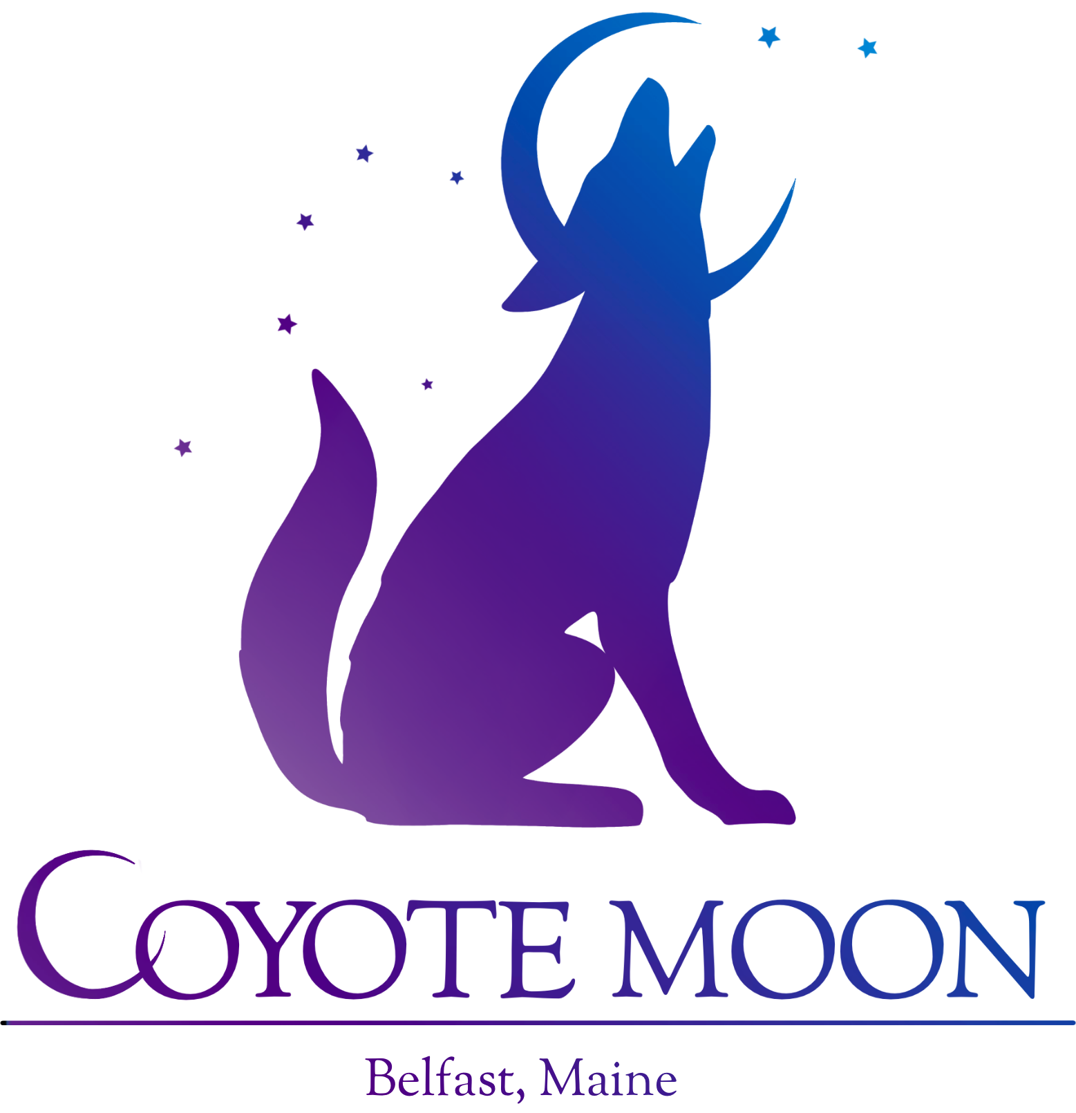 Coyote Moon - Women's Fashion & Gift Boutique