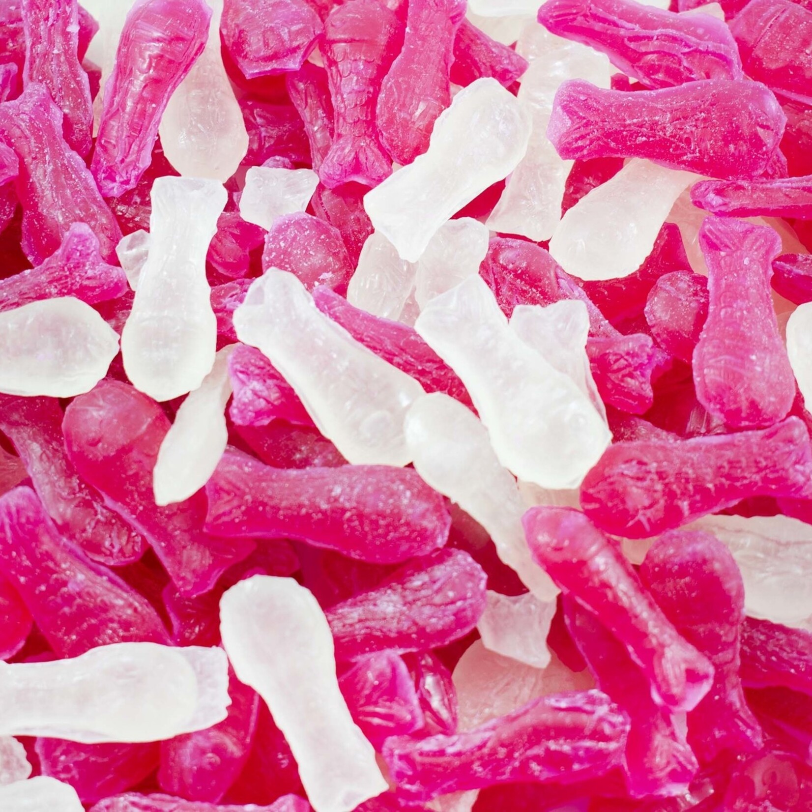 Poissons Rouges Et Blancs