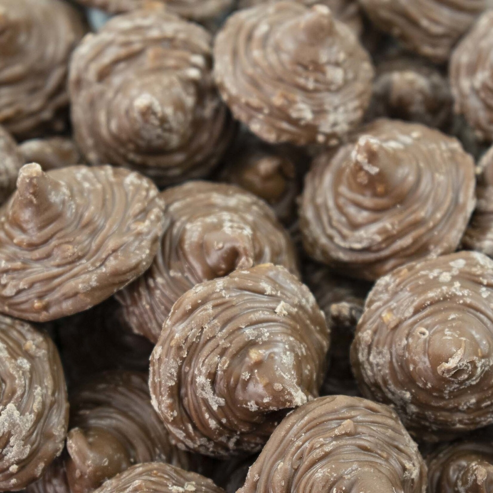 Foleys Macarons Chocolat Au Lait