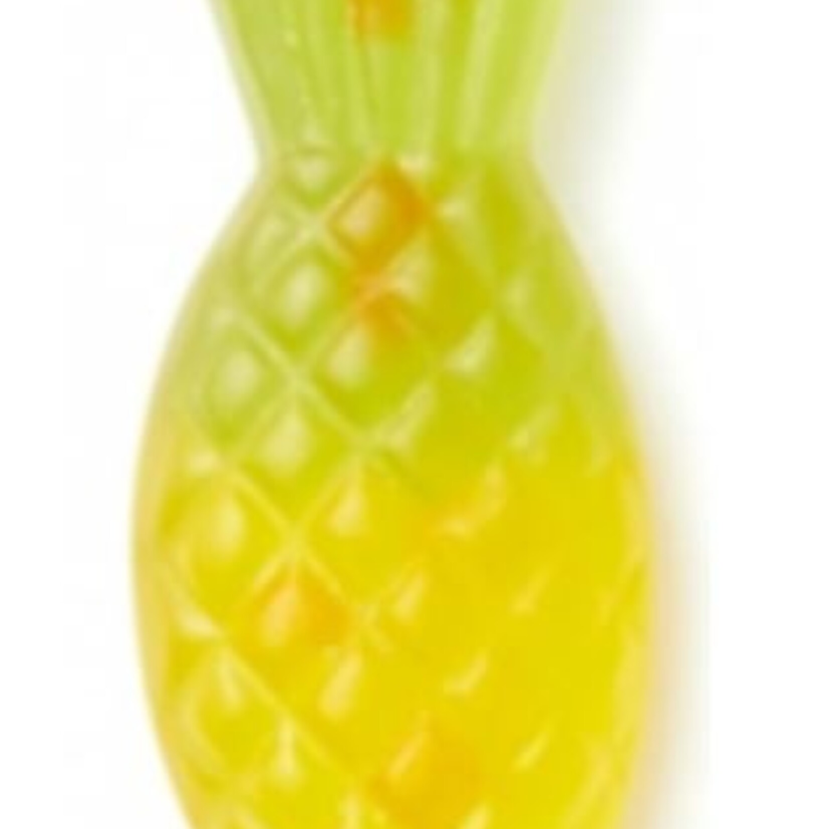 Squish Aloha Végétalien 120g