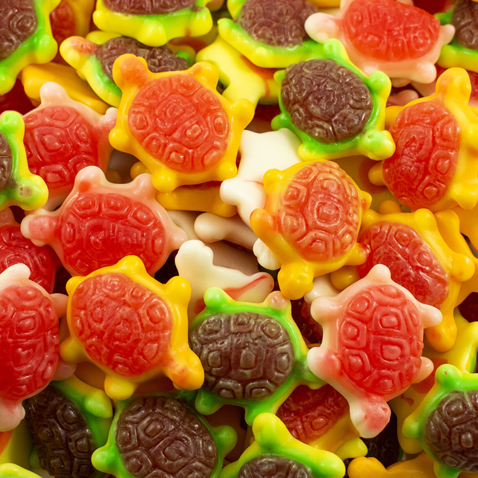 Vidal Filled Turtles