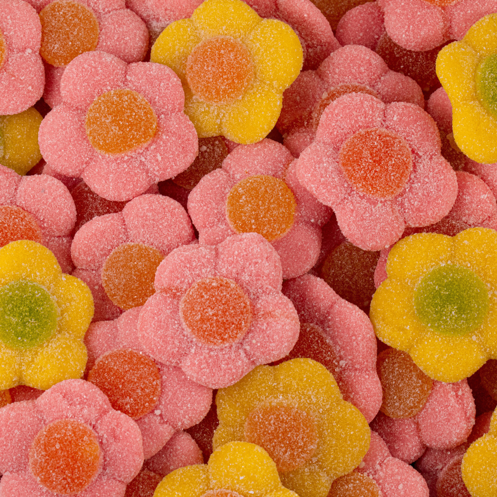 Sour Daisies