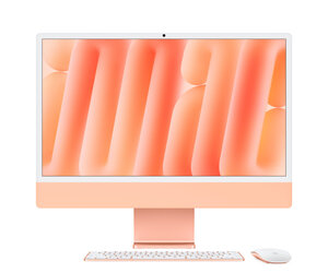 即*り様 美品 iMac 2024 24インチ 10コアCPU M4チップ グリ 24-inch iMac: Apple M4 chip 10-core CPU 10-core GPU 16GB/256GB
