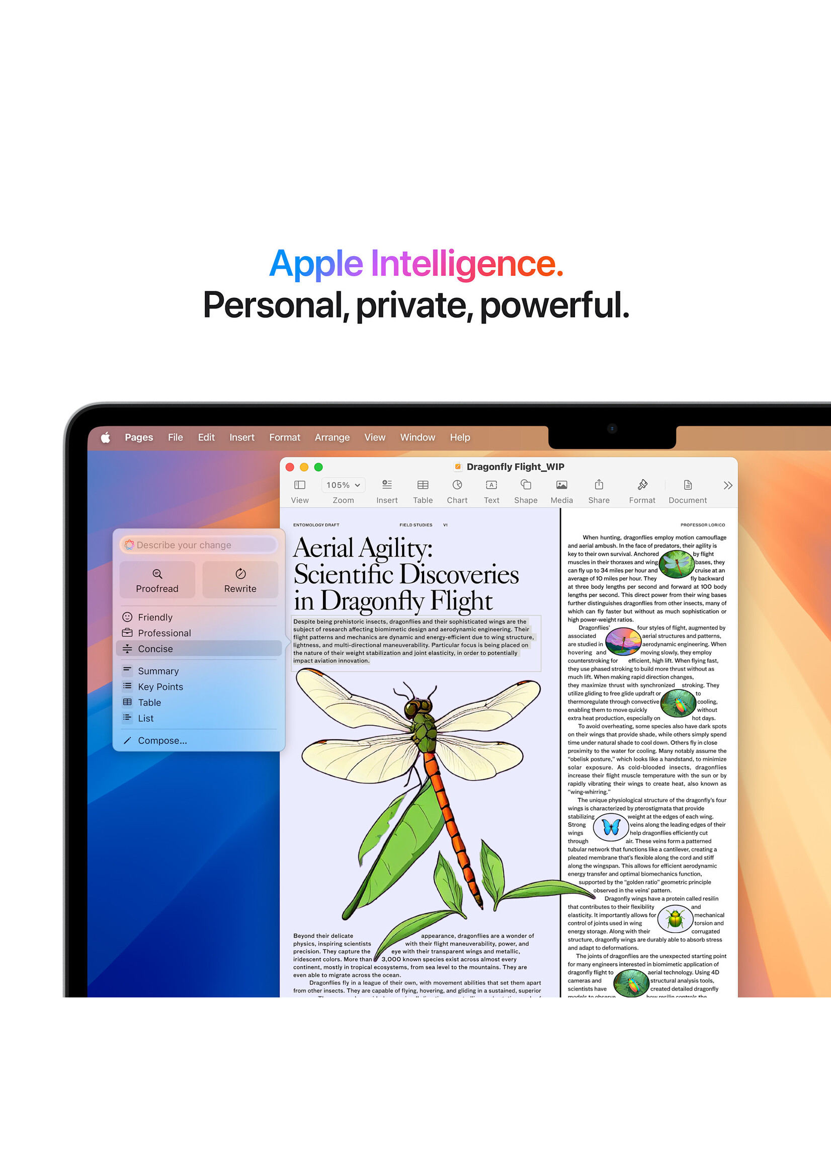 Apple 13-inch MacBook Air: Apple M4 chip with 10-core CPU and 8-core GPU, 16GB/256GB - Silver (March 2025)