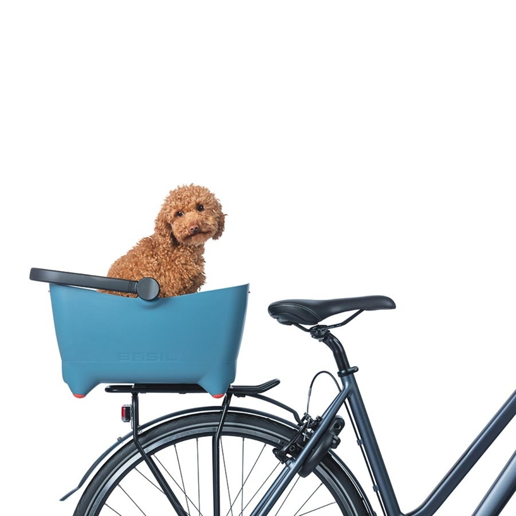 Basil Basil, Buddy Dog, Basket, Blue