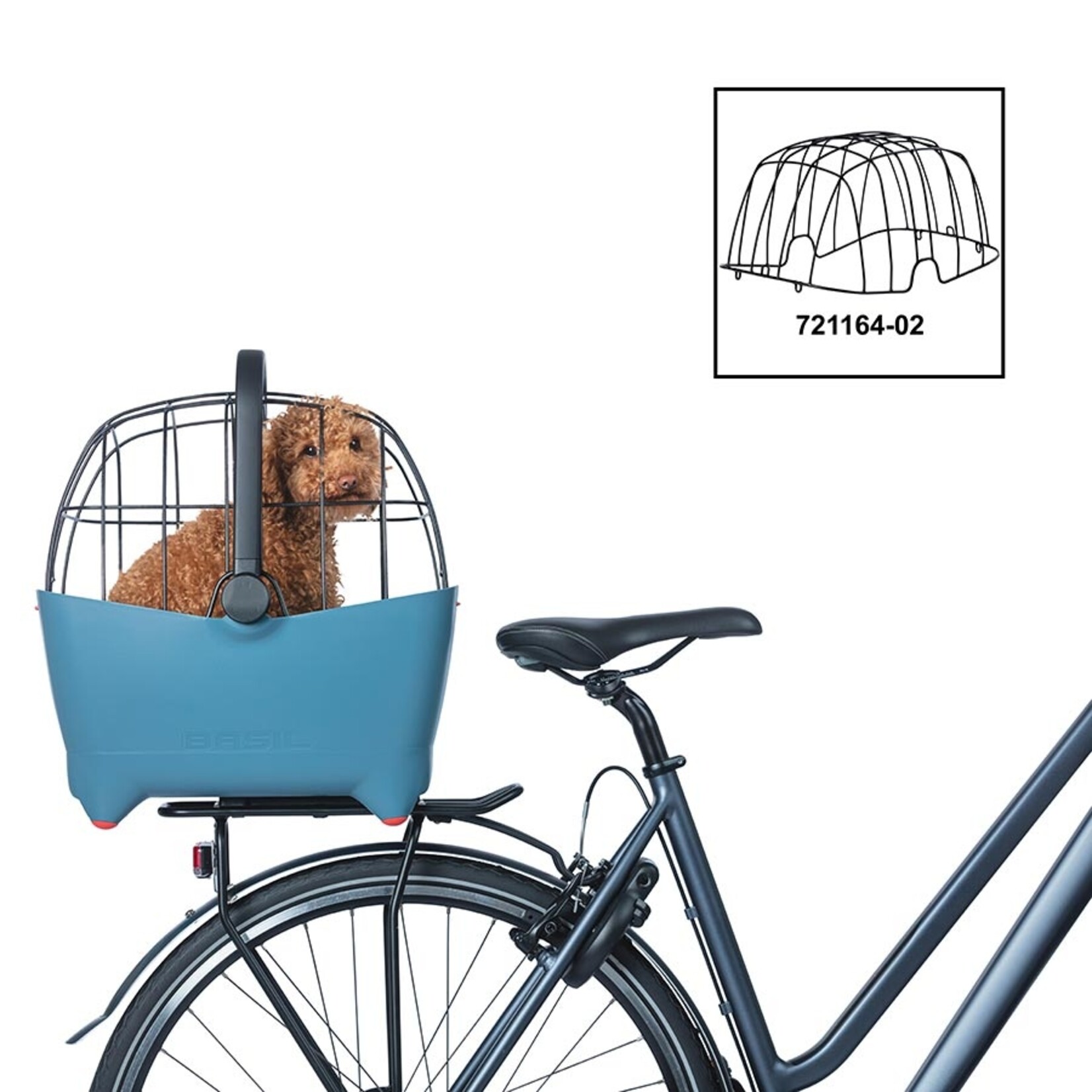 Basil Basil, Buddy Dog, Basket, Blue