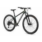 Specialized Specialized Rockhopper Expert Mountain Bike L Green