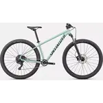 Specialized Specialized Rockhopper Comp 29 XL GLOSS CA WHITE SAGE / SATIN FOREST GREEN