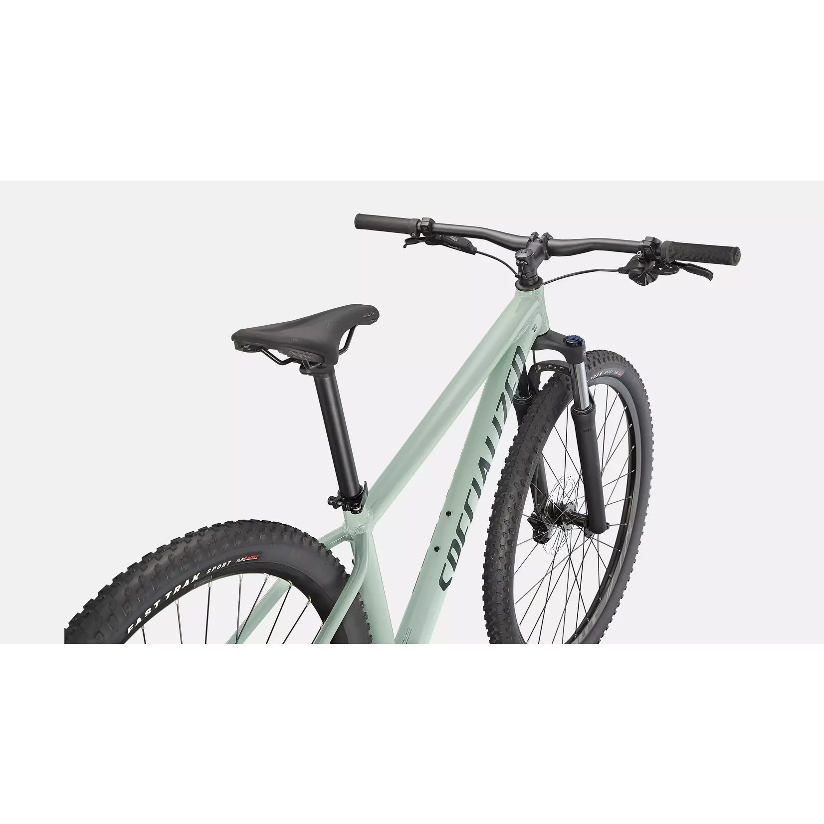 Specialized Specialized Rockhopper Comp 29 XL GLOSS CA WHITE SAGE / SATIN FOREST GREEN