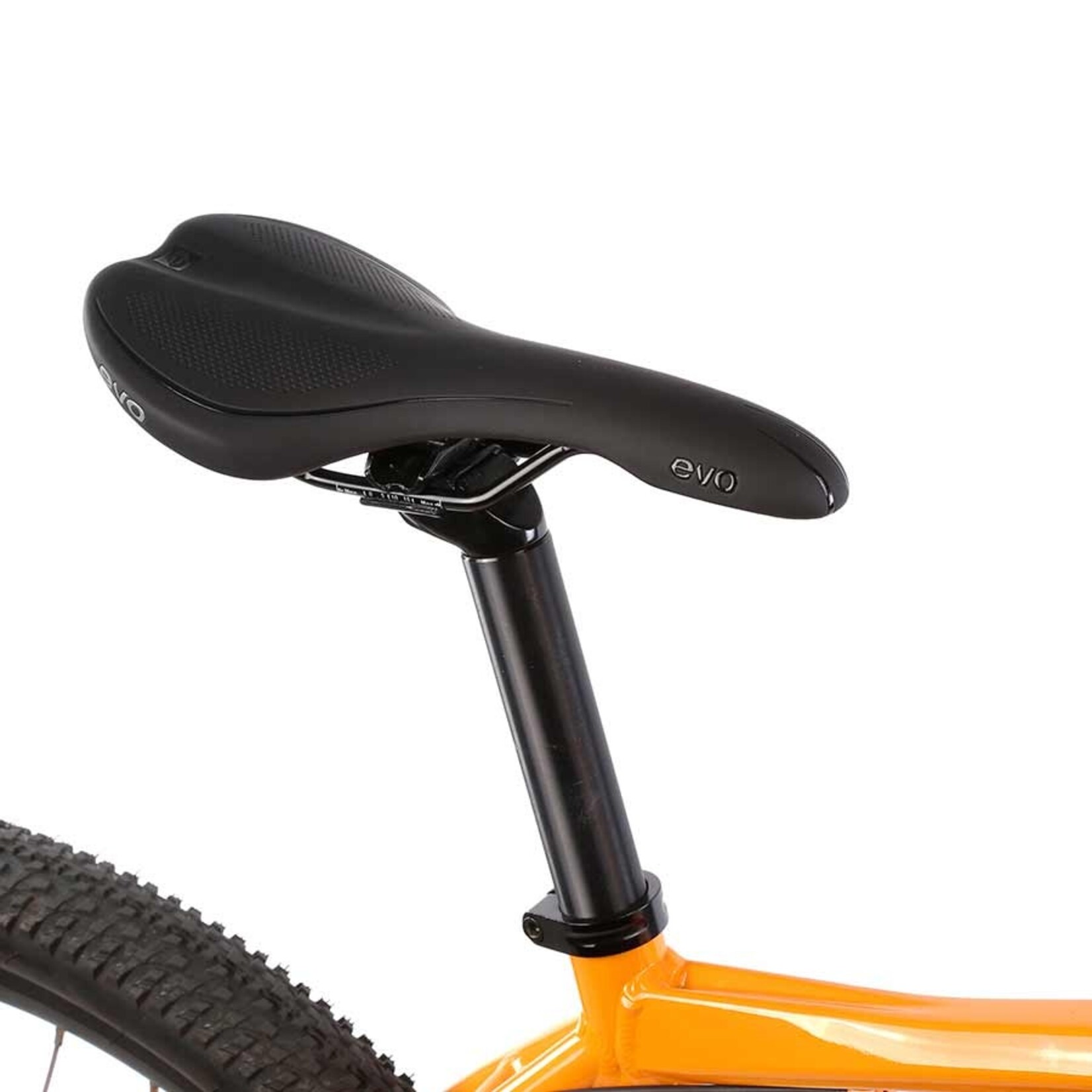 EVO Evo, Sport, Saddle, 279 x 163mm, Women, Black