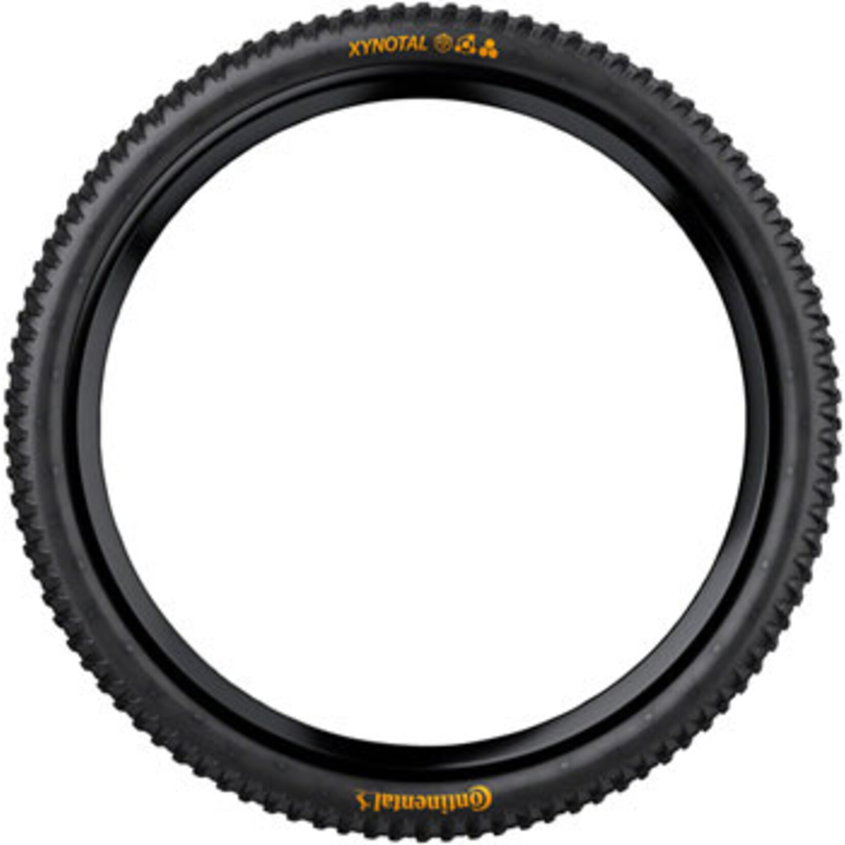 CONTINENTAL Continental Xynotal Tire - 29 x 2.40, Tubeless, Folding, Black, Soft, Enduro Casing, E25