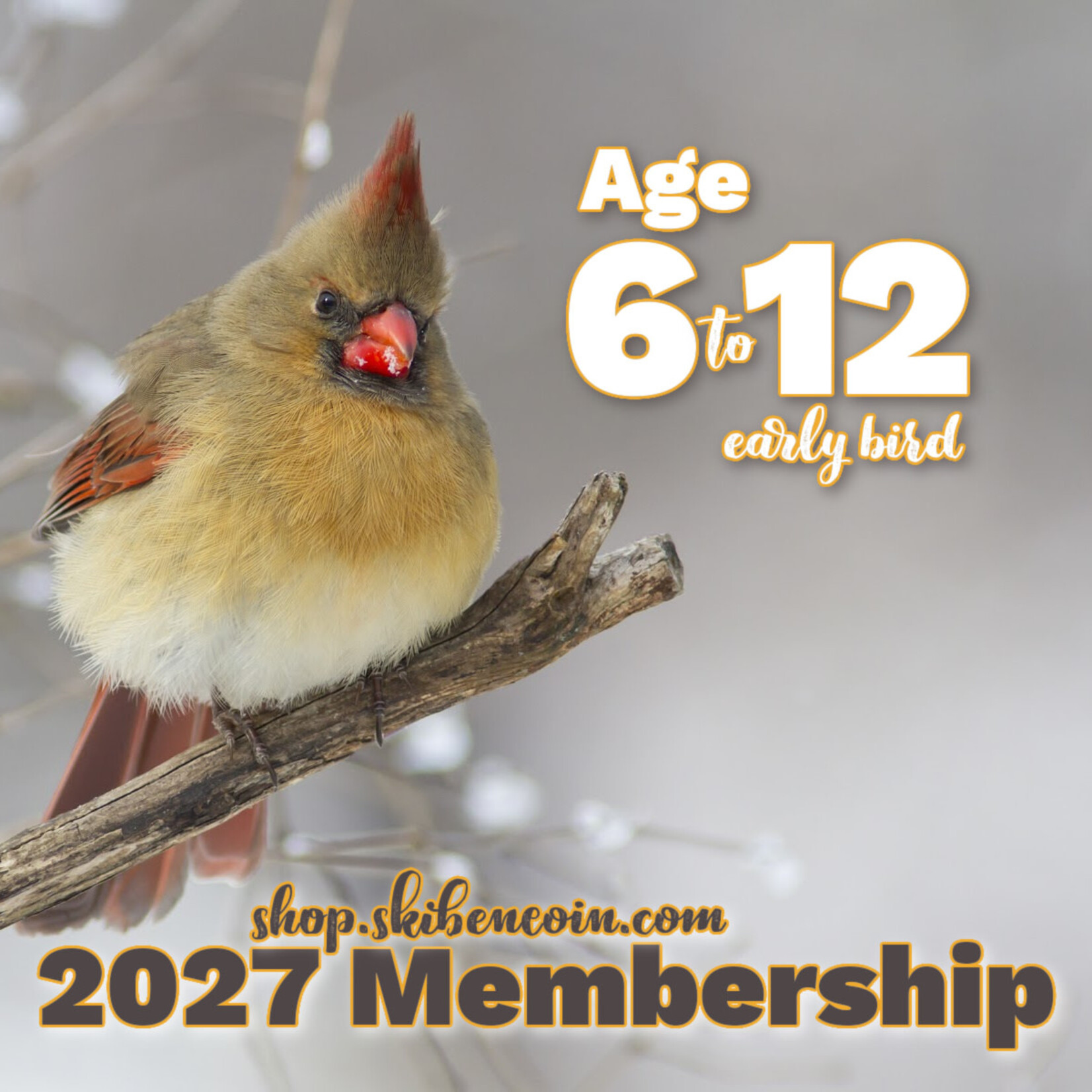 Early Bird Age 6-12 Membership 2027