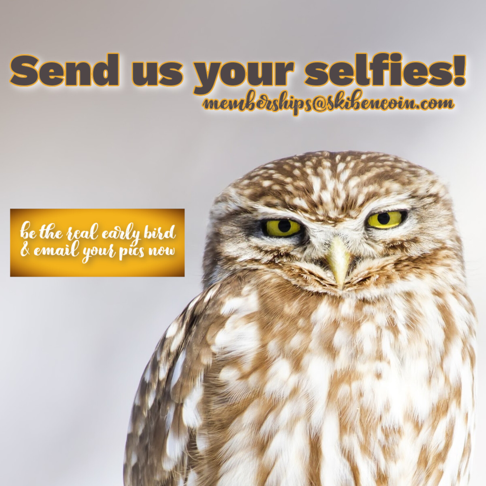 Early Bird Adult 80+ Membership 2027