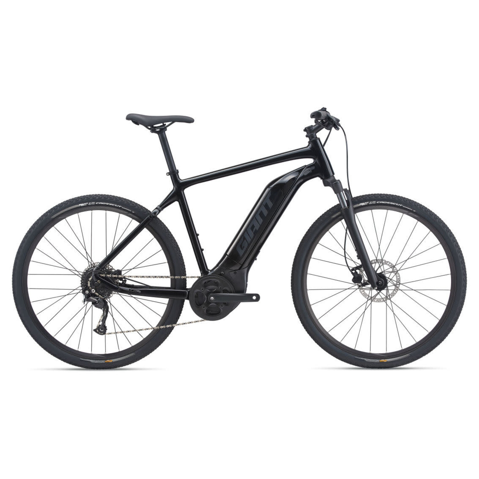 Giant Roam E+ GTS 20MPH L Black