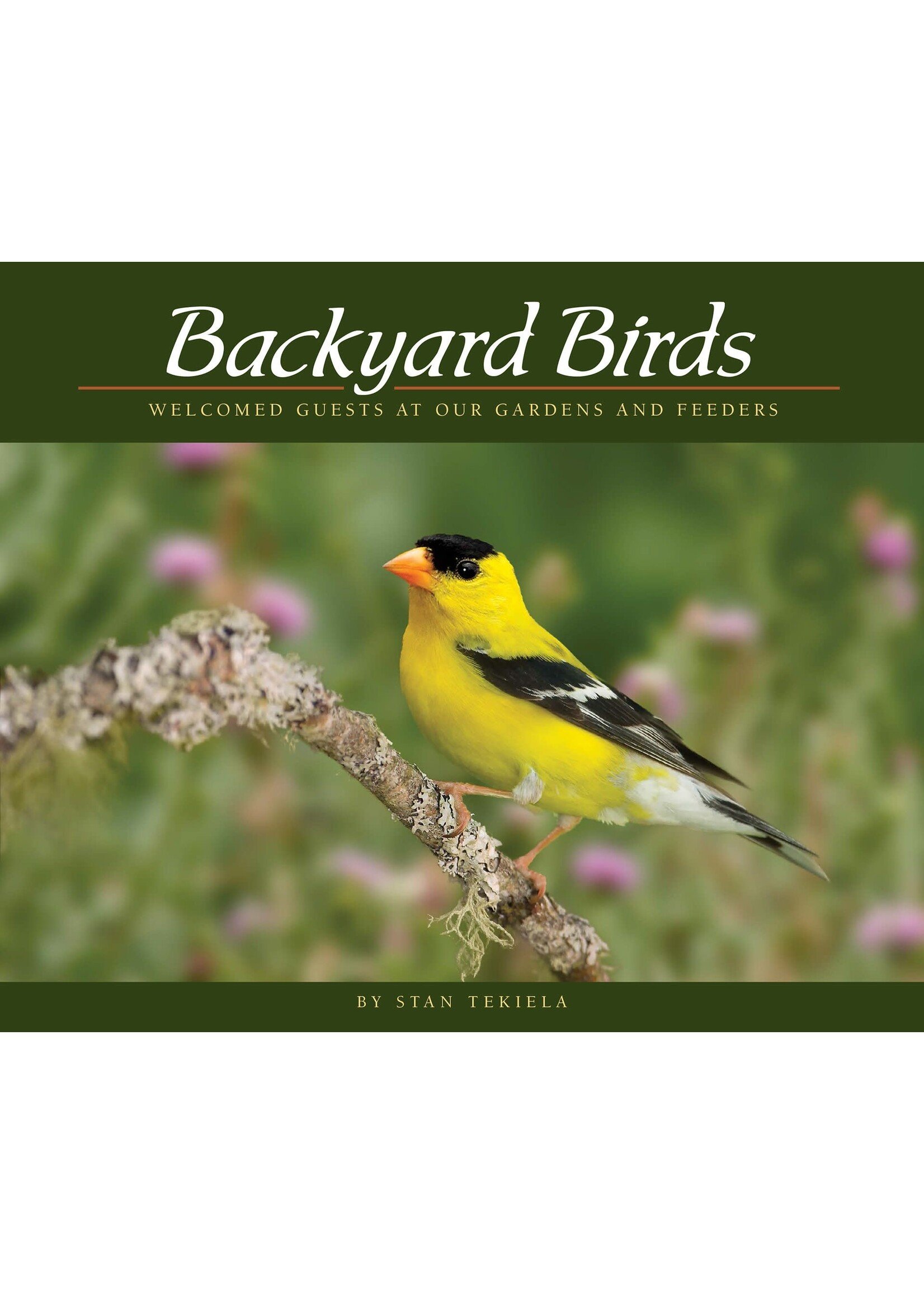 Backyard Birds: Welcomed Guests at Our Gardens and Feeders