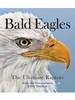 Bald Eagles: The Ultimate Raptors