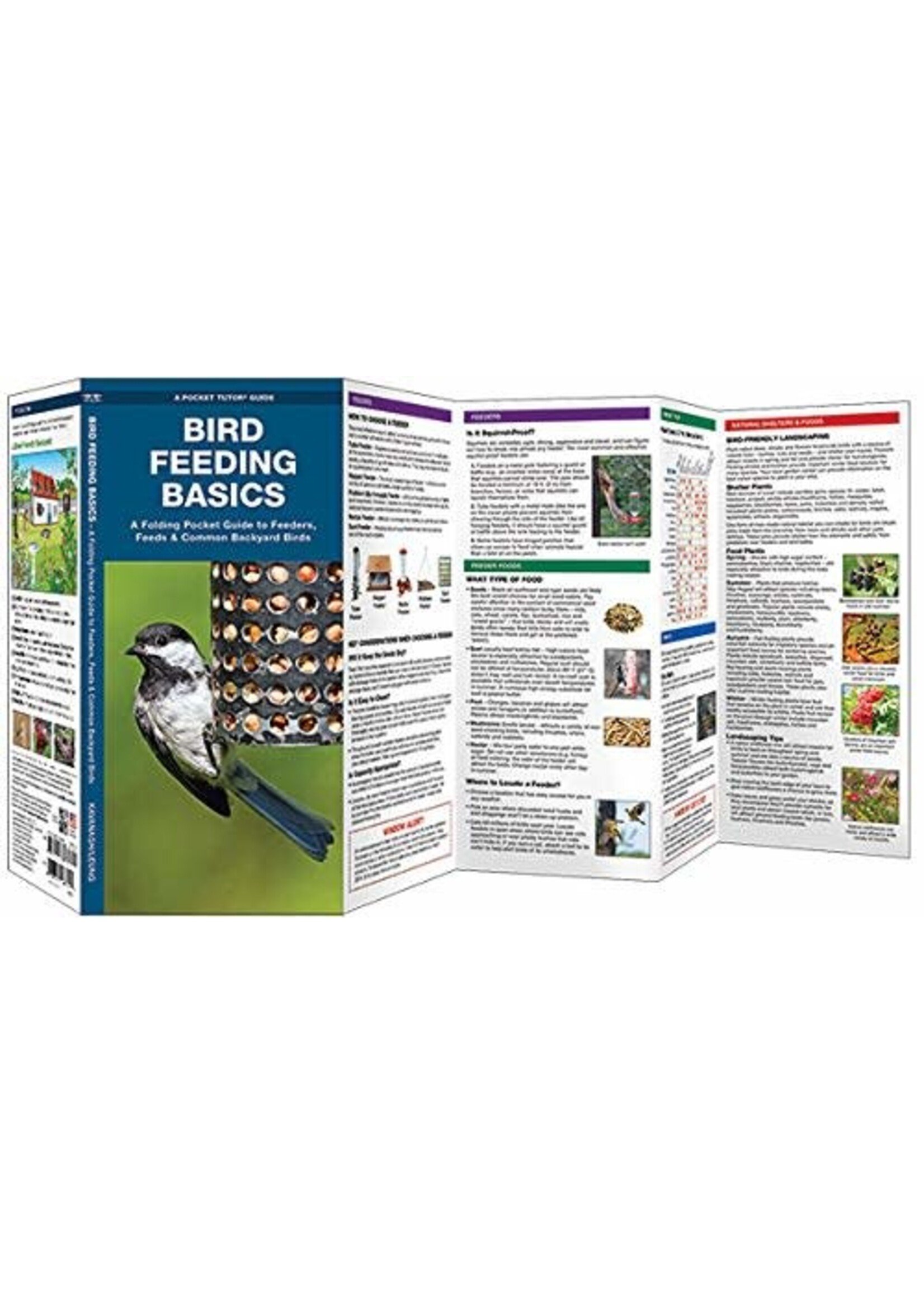 Bird Feeding Basics: An Introduction to Feeders, Feeds & Common Backyard Birds