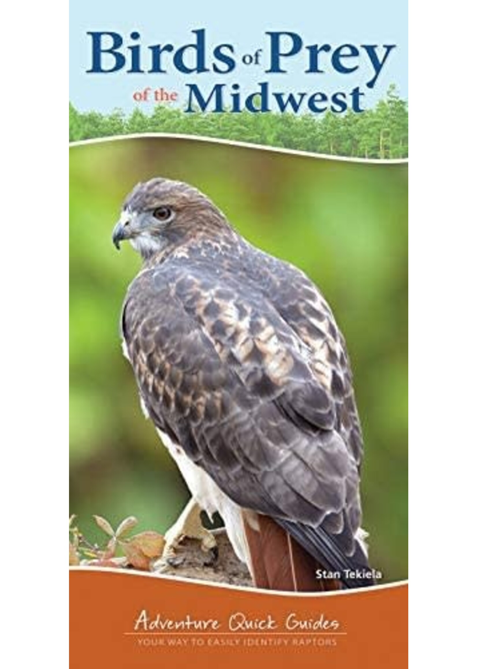 Birds of Prey of the Midwest: Adventure Quick Guide