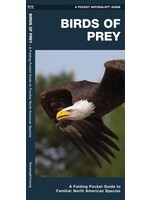 Birds of Prey Pocket Guide to Familiar North American Raptors