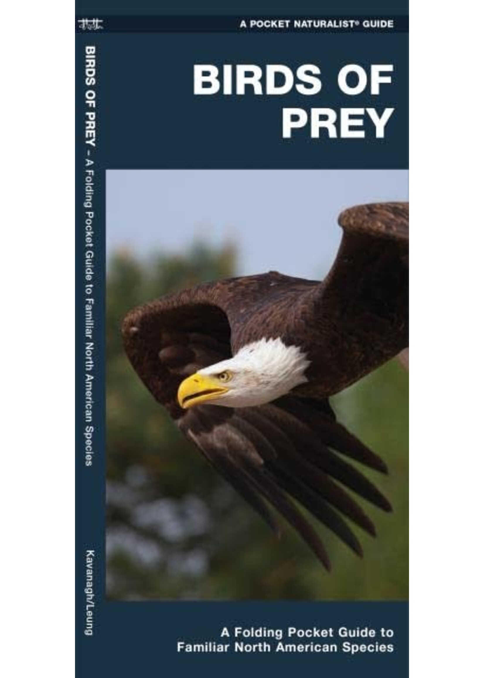 Birds of Prey Pocket Guide to Familiar North American Raptors