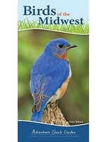 Birds of the Midwest: Adventure Quick Guide
