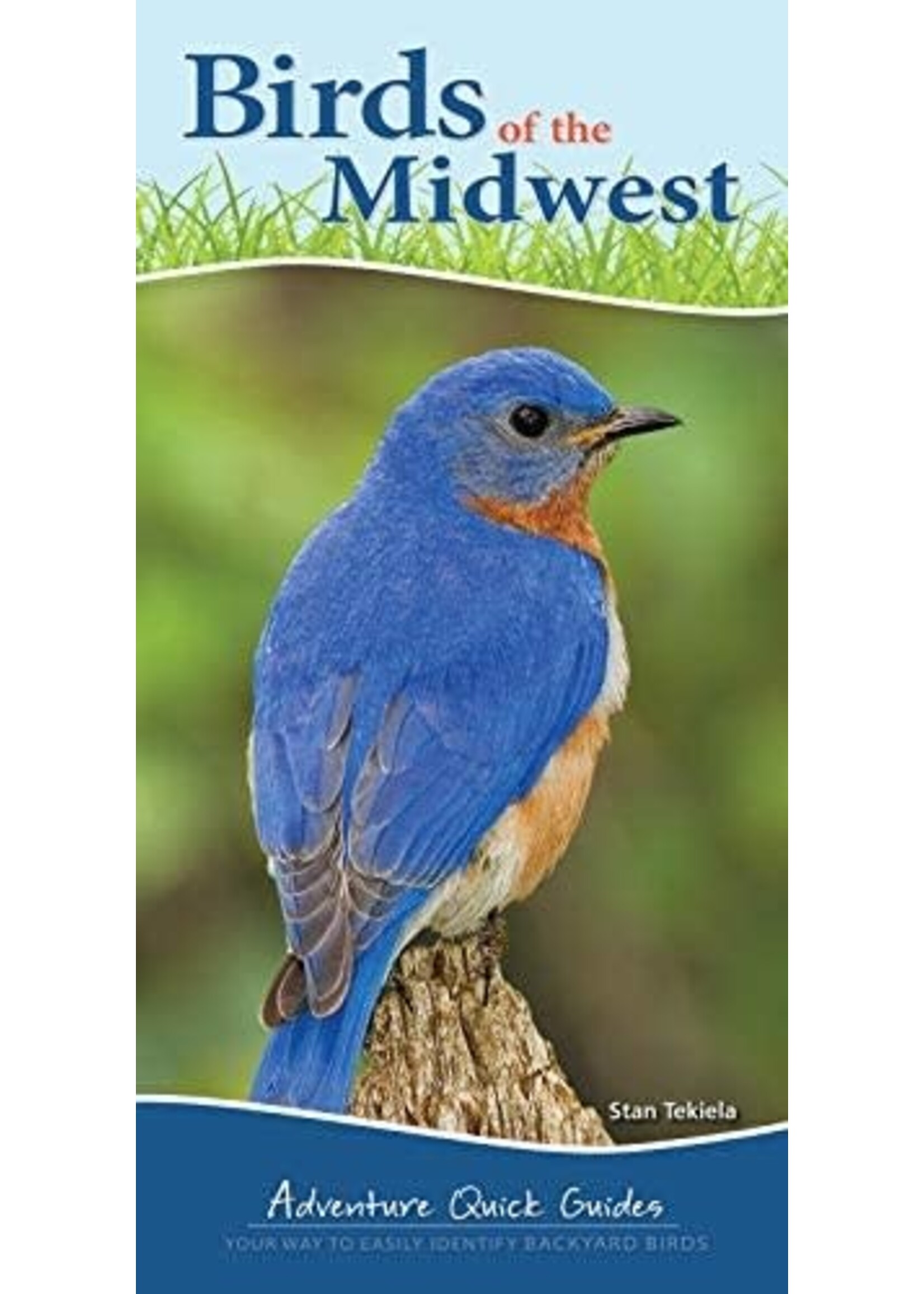 Birds of the Midwest: Adventure Quick Guide