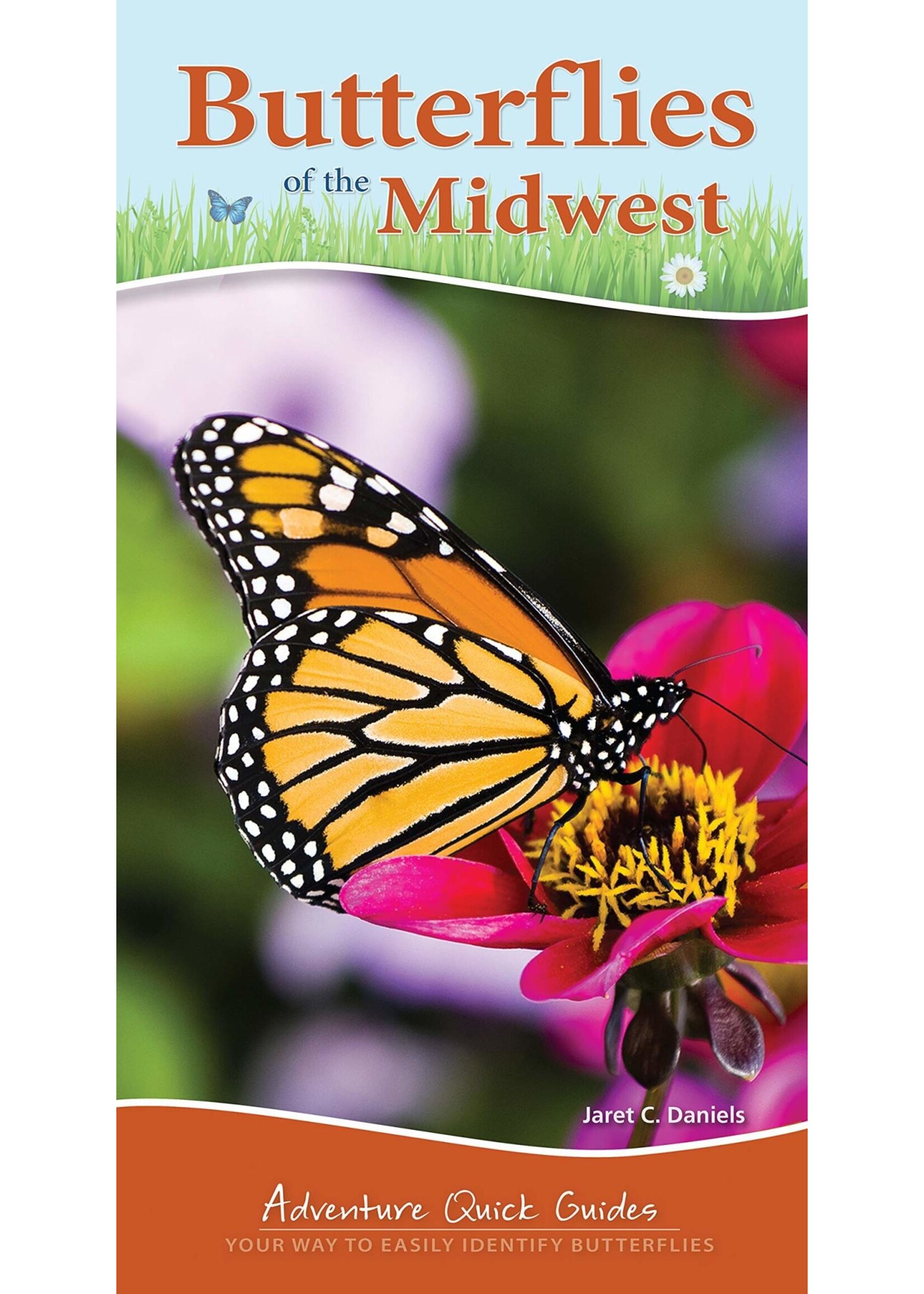 Butterflies of the Midwest: Adventure Quick Guide