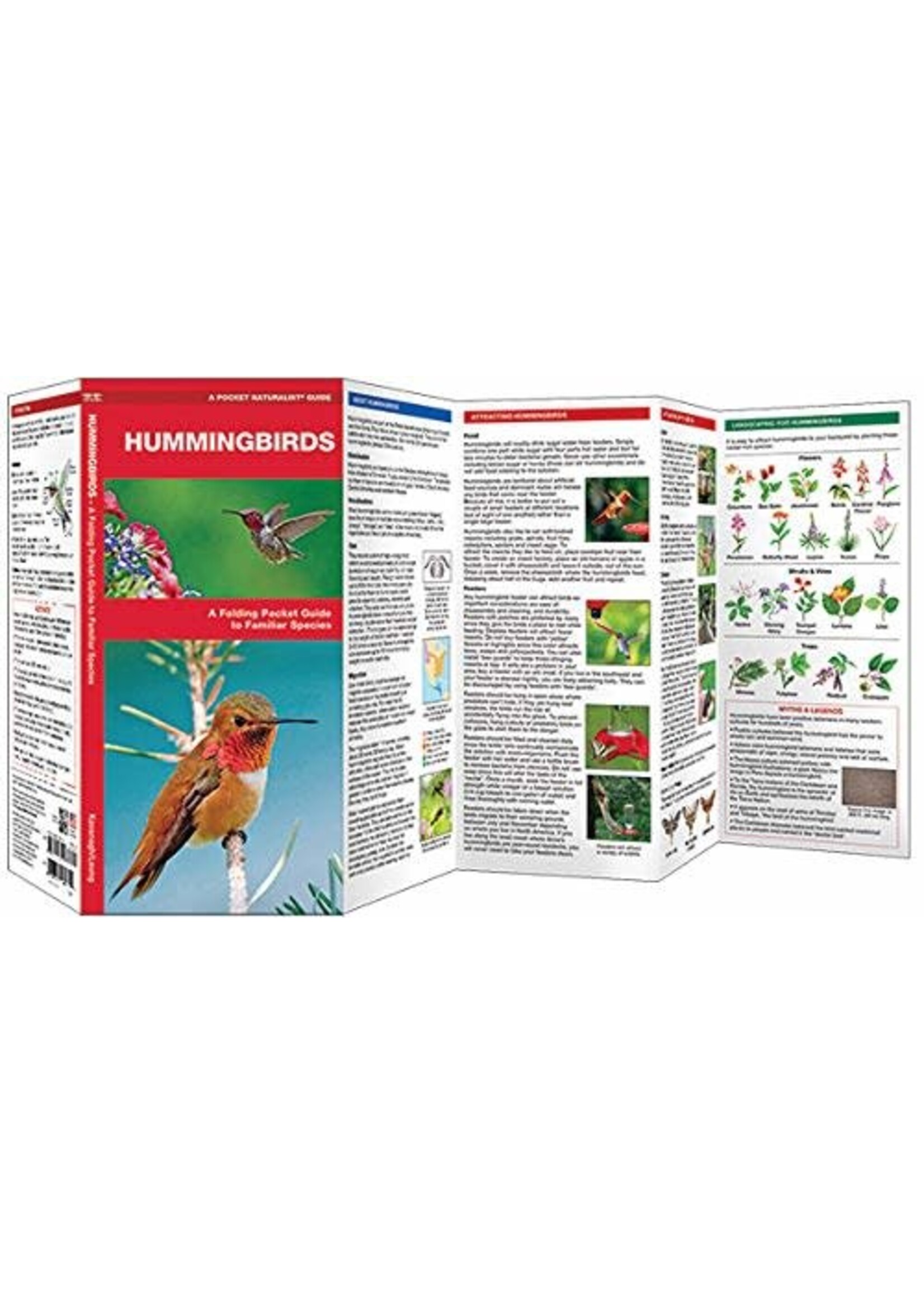 Hummingbirds: A Folding Pocket Guide to Familiar Species