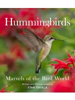 Hummingbirds: Marvels of the Bird World
