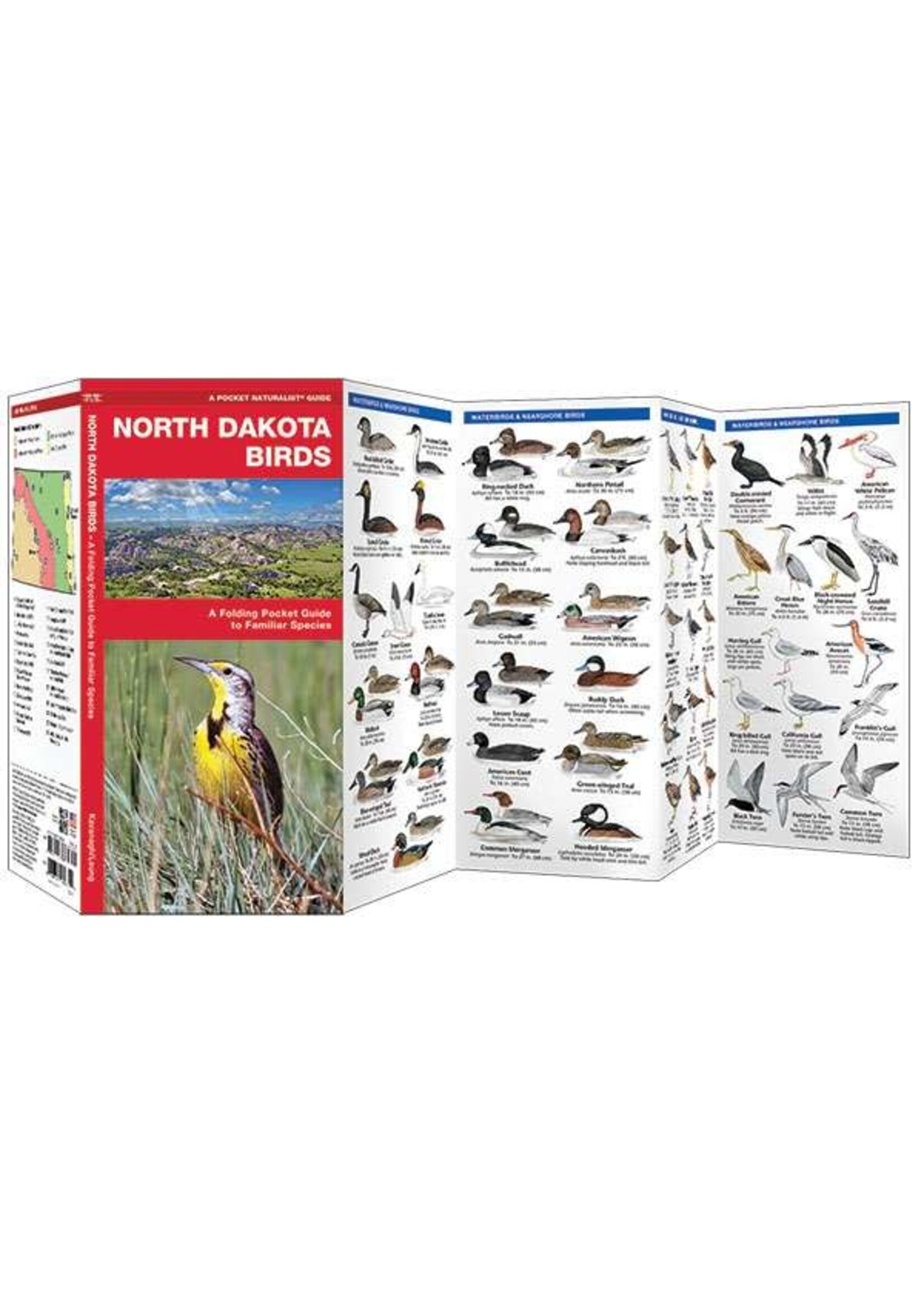 North Dakota Birds: A Folding Pocket Guide to Familiar Species