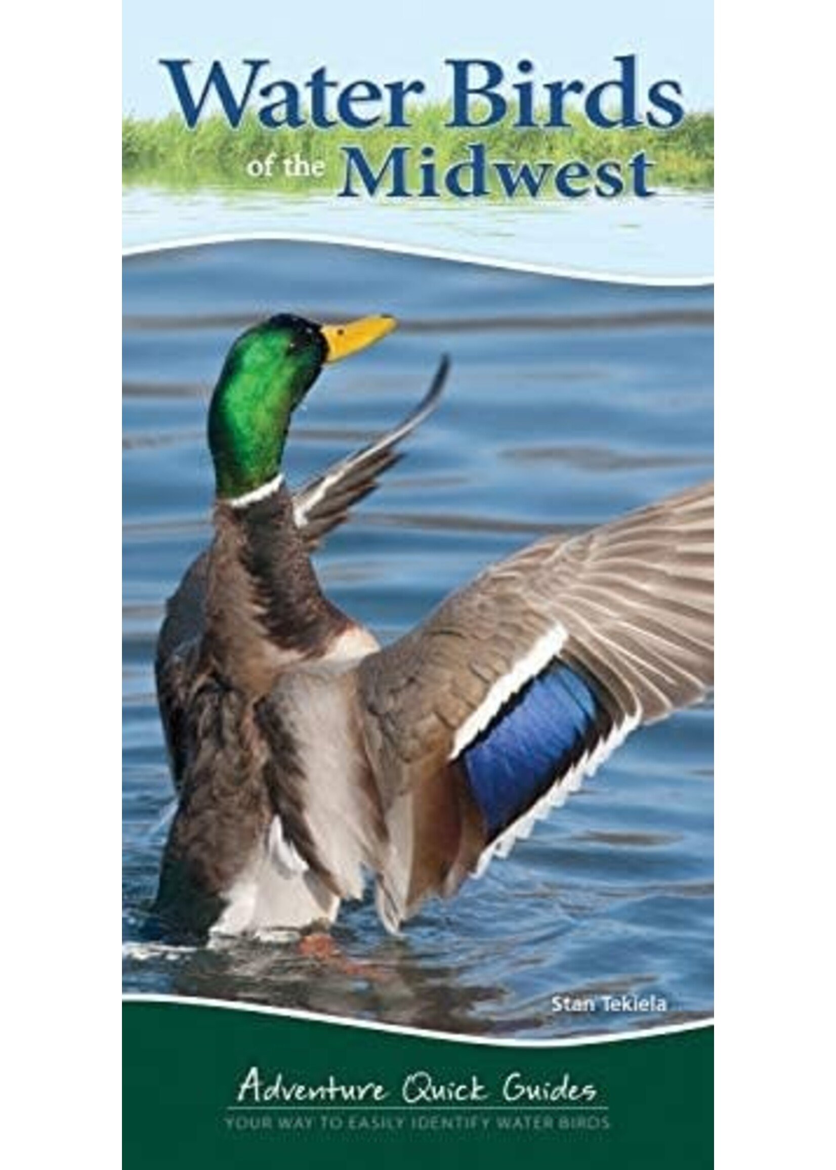 Water Birds of the Midwest: Your Way to Easily Identify Water Birds Adventure Quick Guide