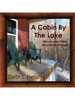 A Cabin By The Lake