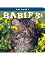 Bobcat Babies!