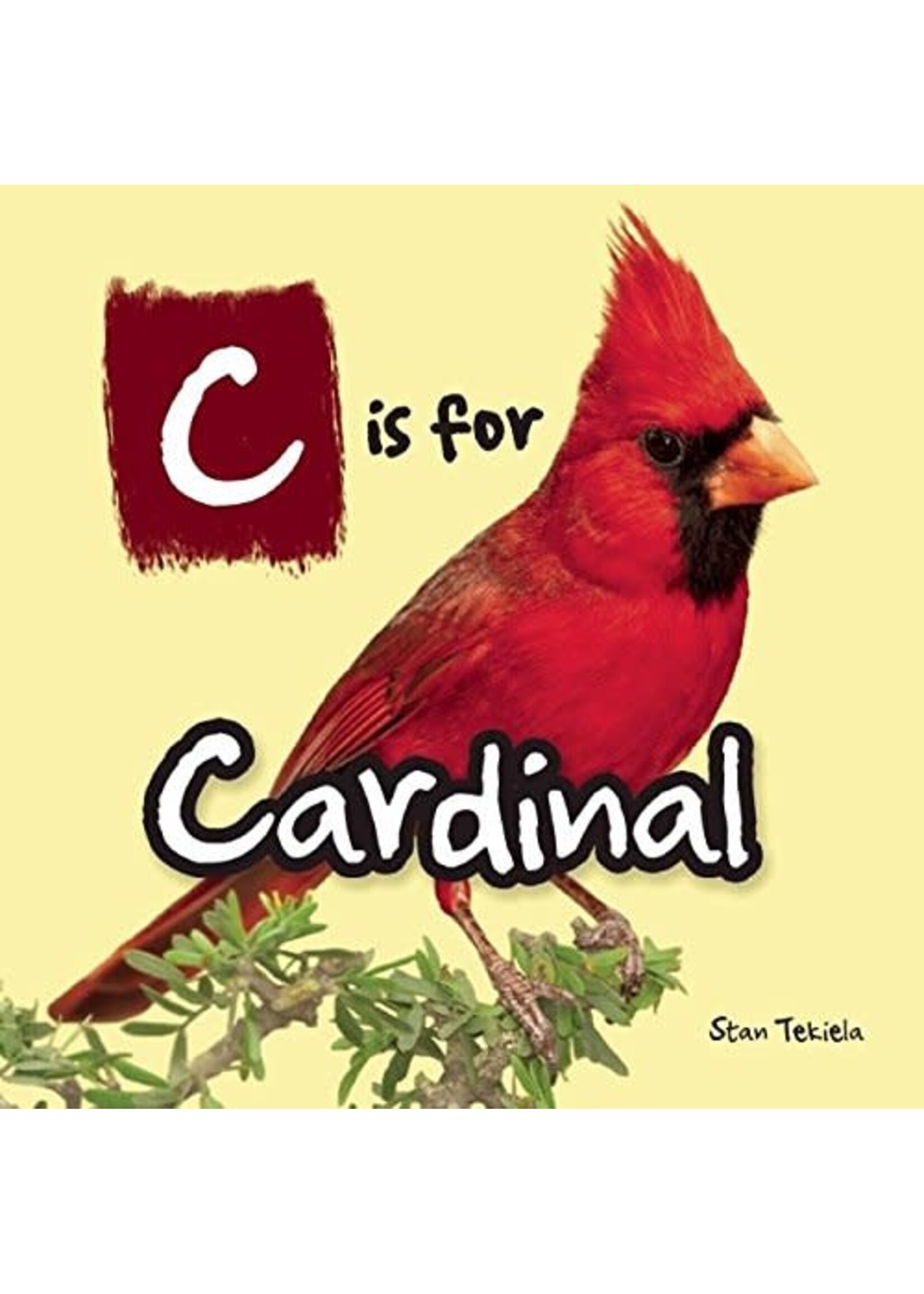 C is for Cardinal