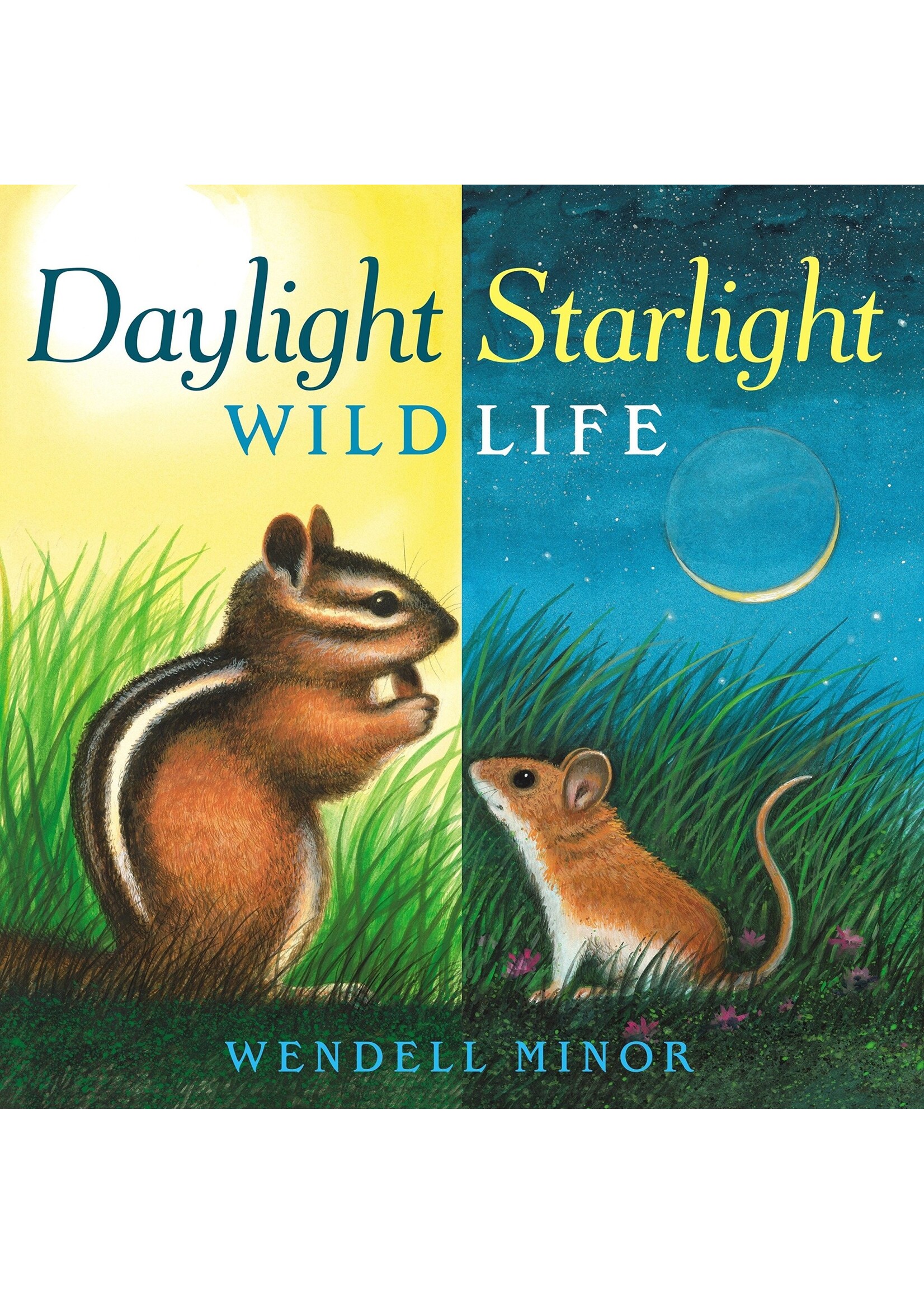 Daylight Starlight Wildlife