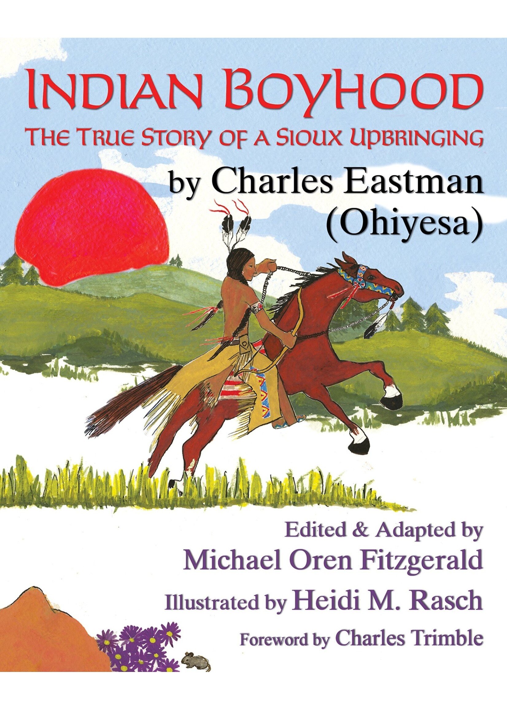 Indian Boyhood: The True Story of a Sioux Upbringing