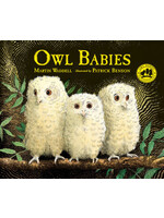 Owl Babies