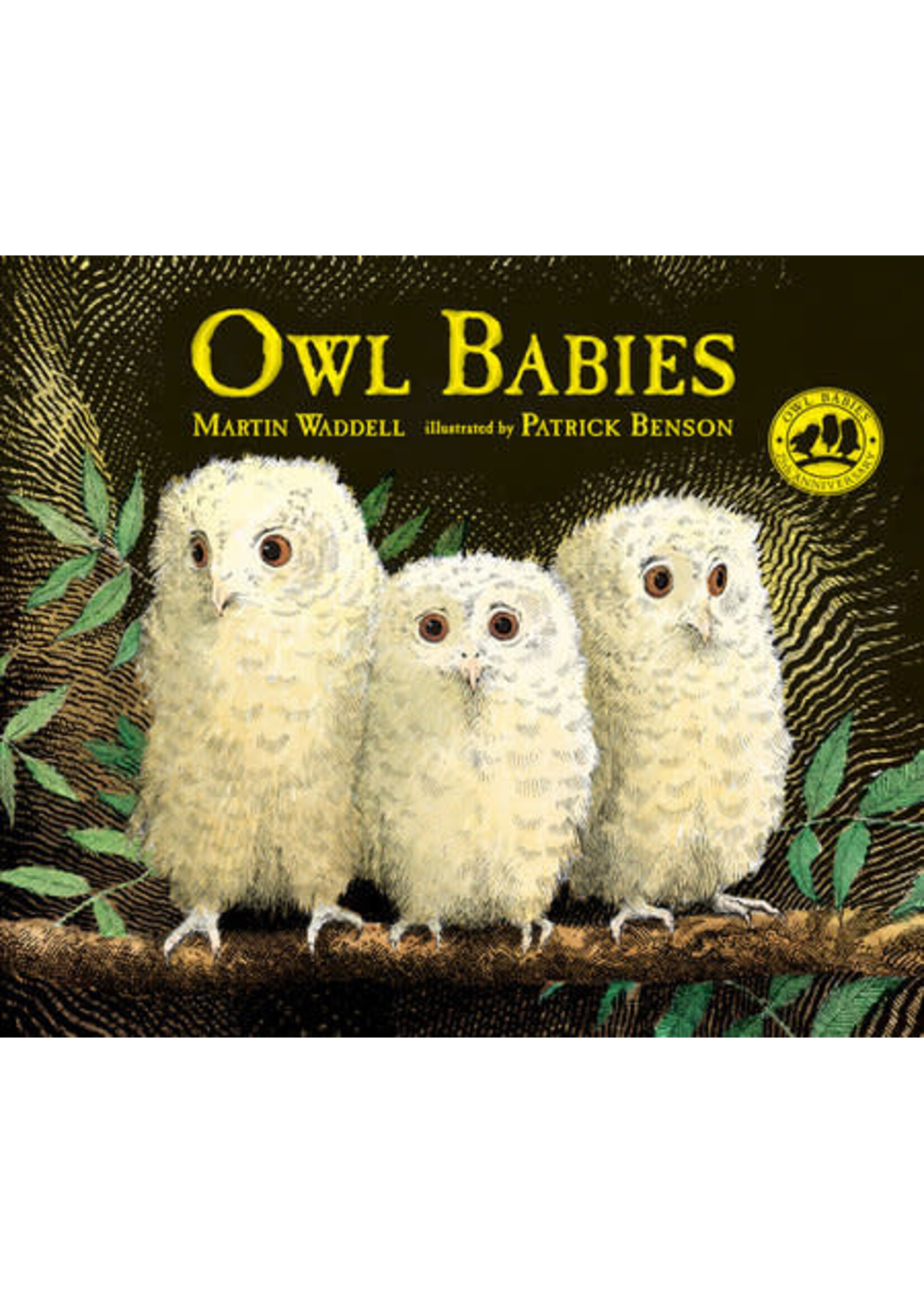 Owl Babies