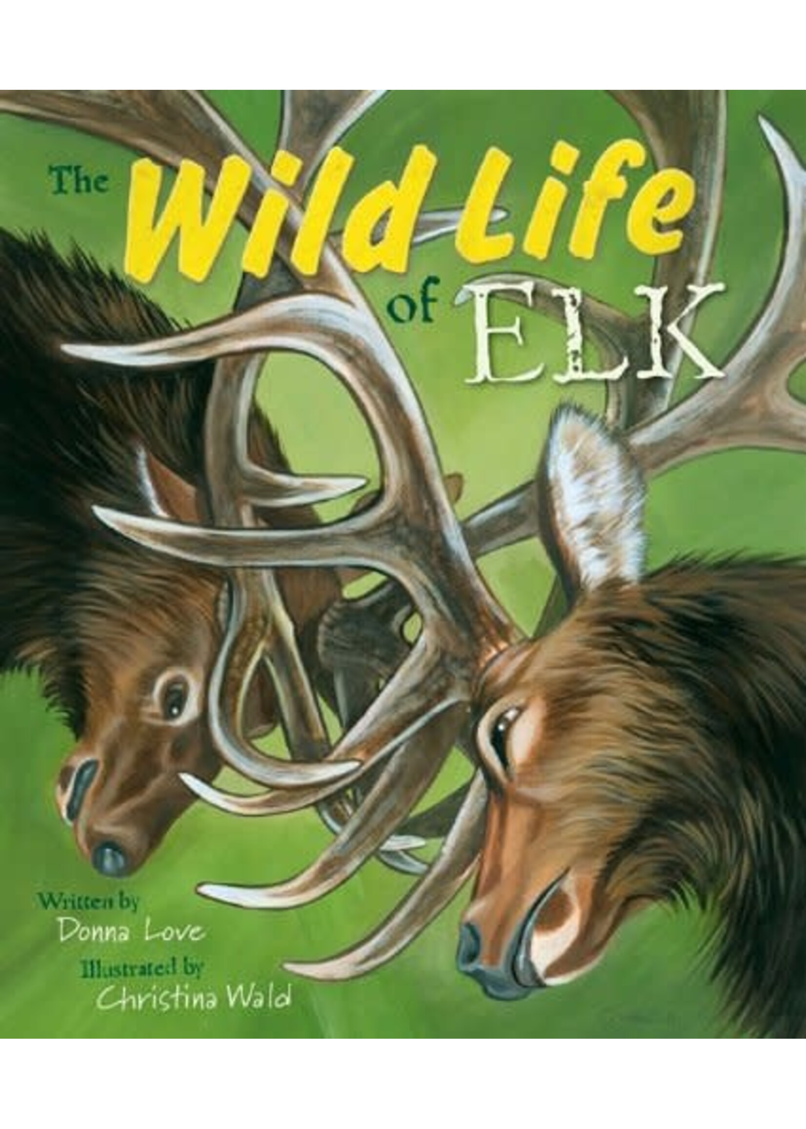 The Wild Life of Elk