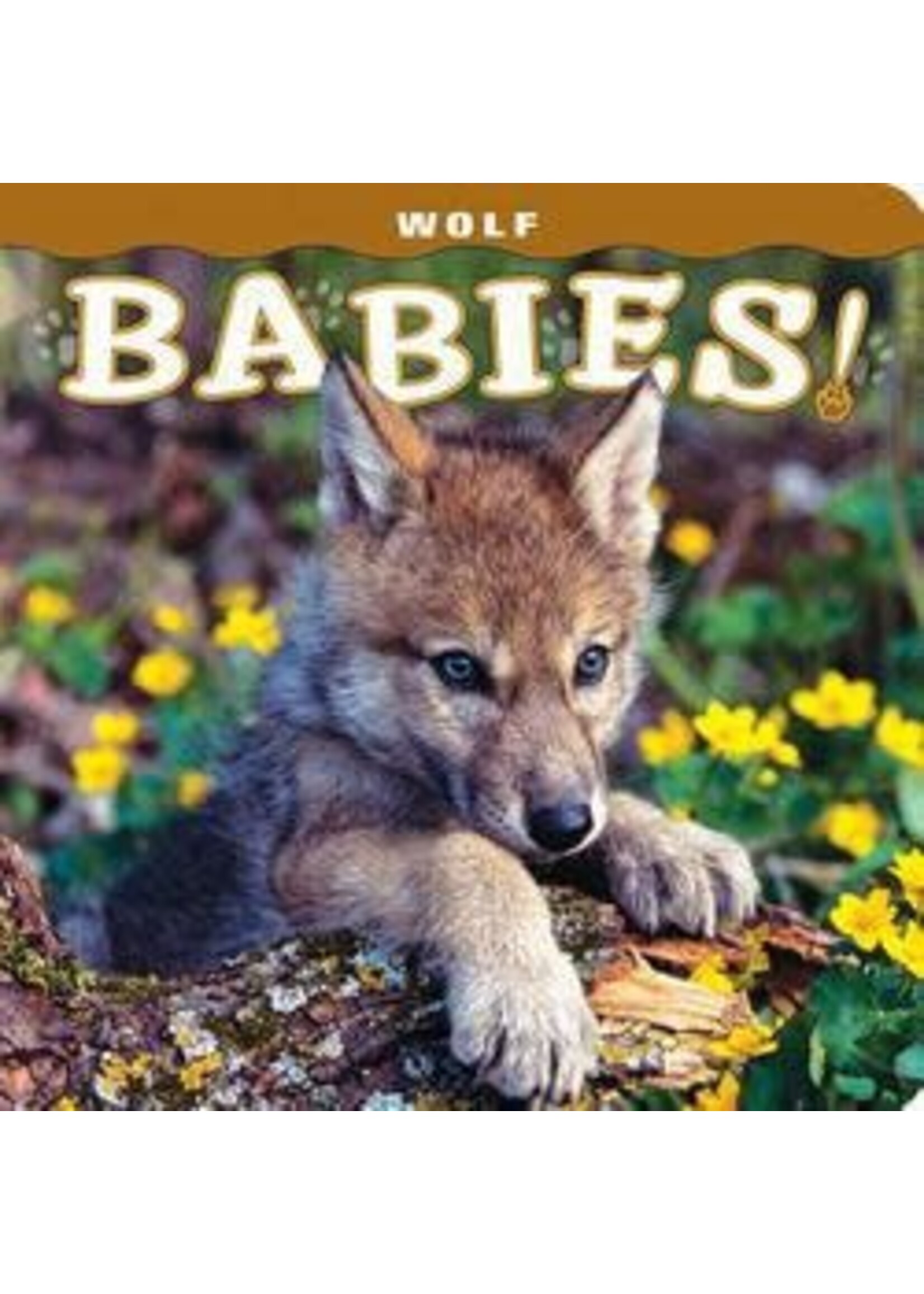 Wolf Babies!