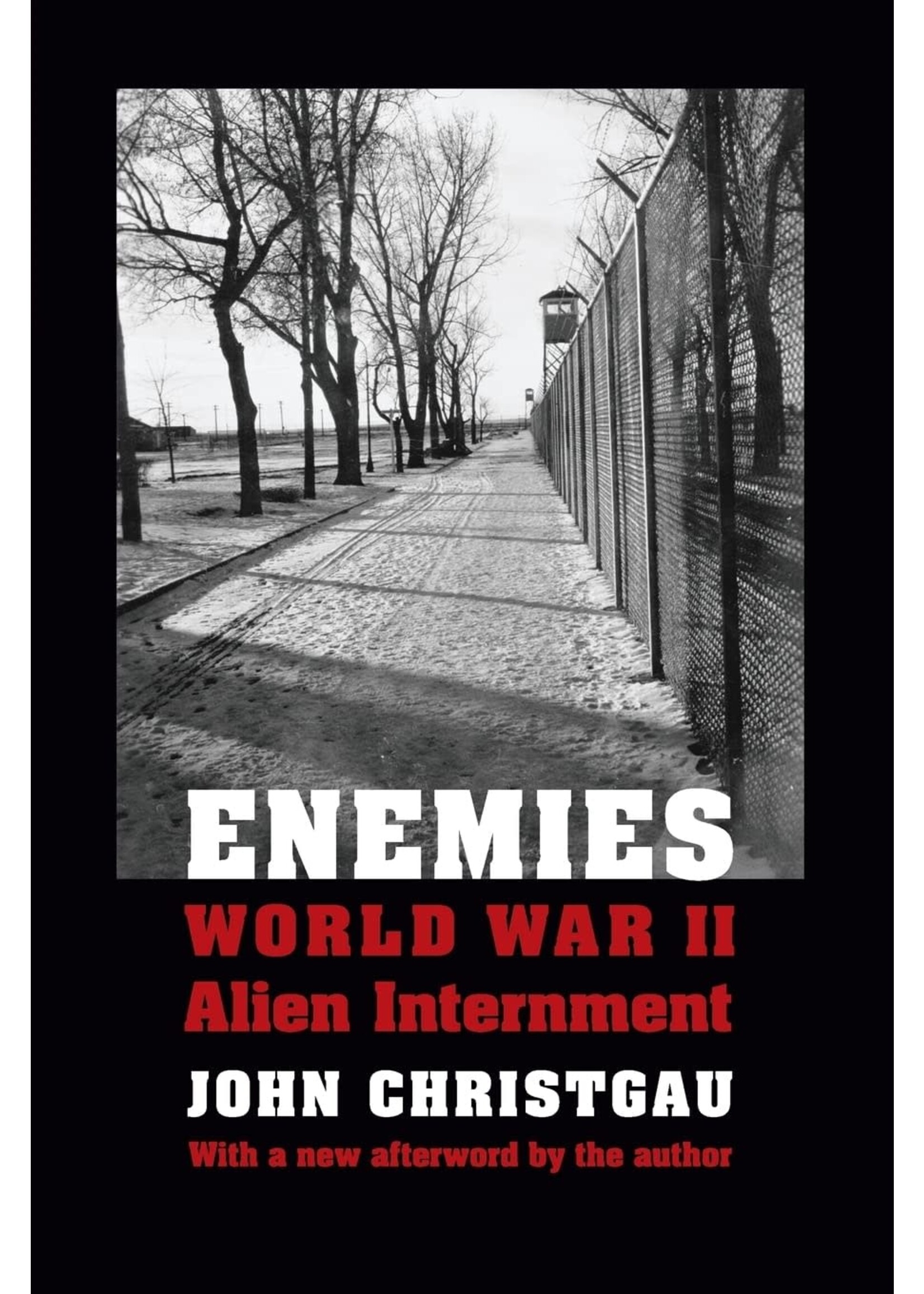 Enemies: WWII Alien Internment